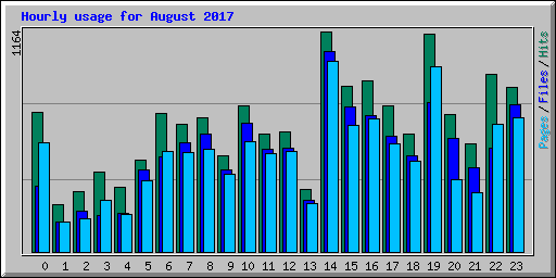 Hourly usage for August 2017